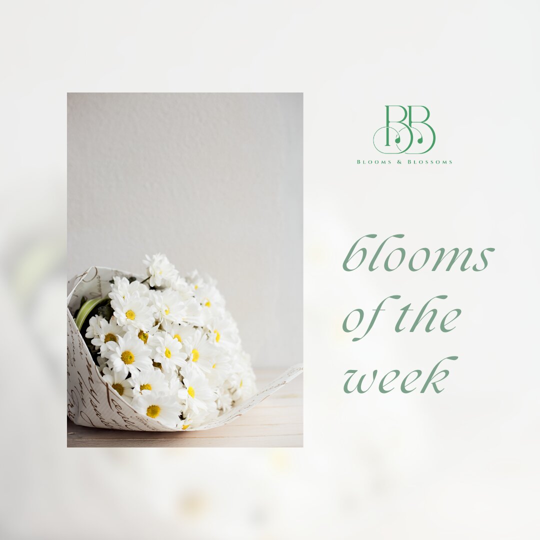 Blooms & Blossoms | Florist